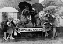 [Image:Farndale Ladies Photo]